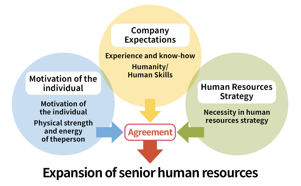 Promotion of Senior Human Resources